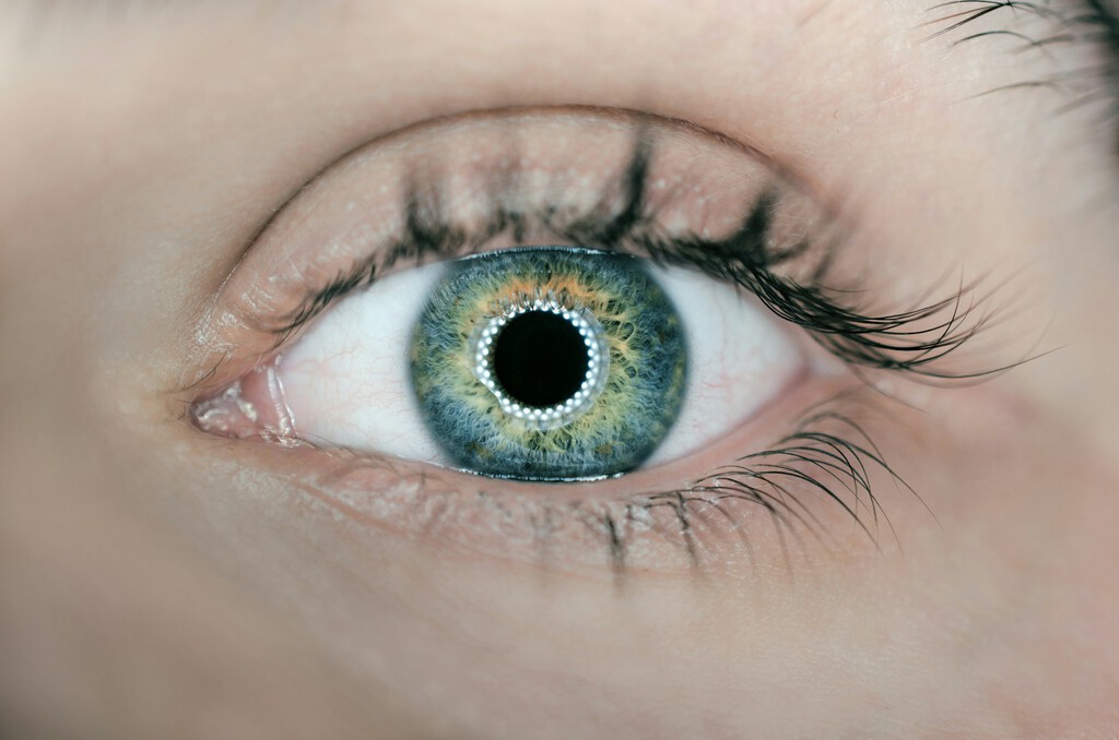 Las neuroprótesis oculares están un poco más cerca. Una de las principales apuestas: paneles solares en los ojos 